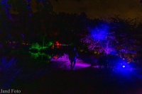 IMG_0645.JPG