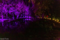 IMG_0647.JPG